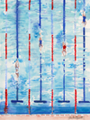 Print of "USA Swim Team"